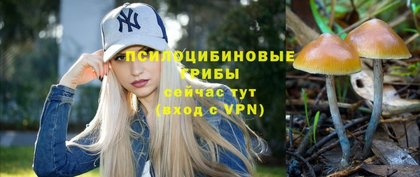 apvp Верхний Тагил