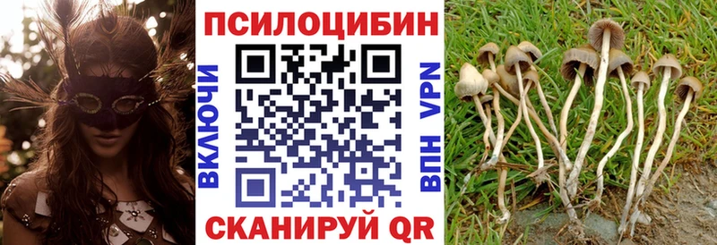 Галлюциногенные грибы мицелий  Ядрин 